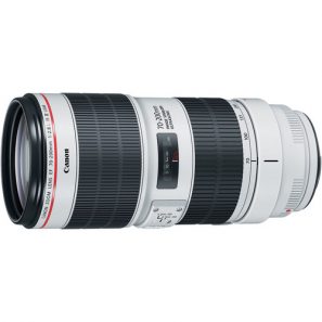 Canon EF 70-200mm f/2.8L IS III USM - Image 2