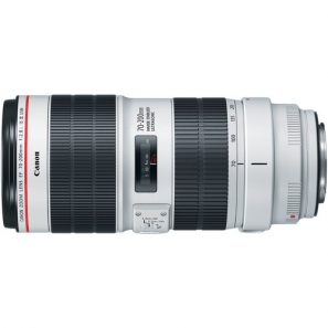 Canon EF 70-200mm f/2.8L IS III USM - Image 3