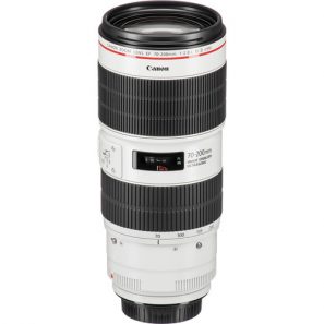 Canon EF 70-200mm f/2.8L IS III USM - Image 5