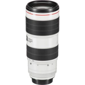Canon EF 70-200mm f/2.8L IS III USM - Image 4