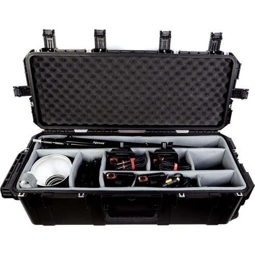 Aputure LS 120D II 2 Light Kit