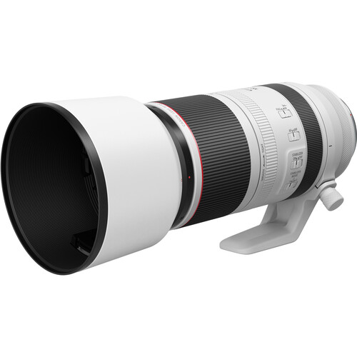 Canon RF 100-500mm f/4.5-7.1 L IS USM Lens - Image 2