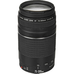 Canon EF 75-300mm f/4.0-5.6 III - Image 3