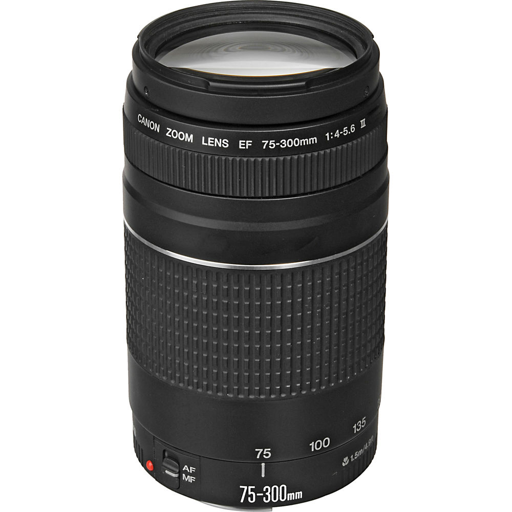 Canon EF 75-300mm f/4.0-5.6 III - Image 3
