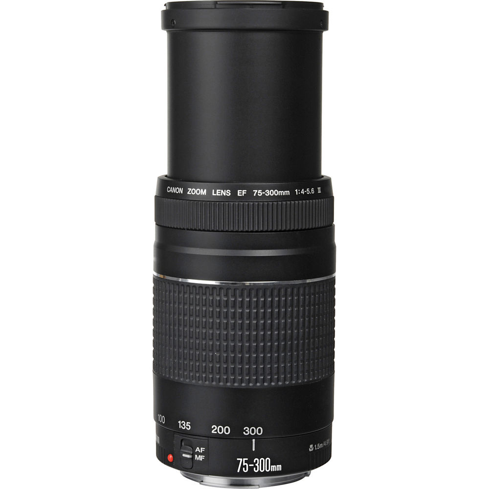 Canon EF 75-300mm f/4.0-5.6 III - Image 2