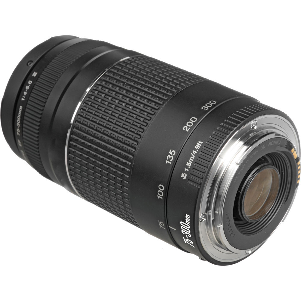 Canon EF 75-300mm f/4.0-5.6 III - Image 4