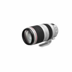 Canon EF 100-400mm f/4.5-5.6L IS II USM - Image 3