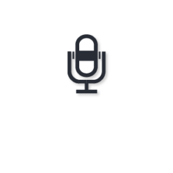 Audio