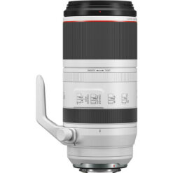 Canon RF 100-500mm f/4.5-7.1L IS USM Lens - Image 5