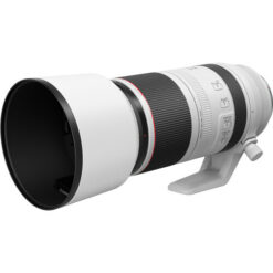 Canon RF 100-500mm f/4.5-7.1L IS USM Lens - Image 6