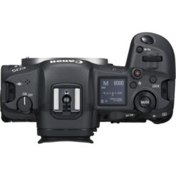 Canon EOS R5 + RF24-105mm f4 L - Image 3