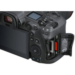 Canon EOS R5 + RF24-105mm f4 L - Image 6