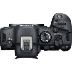Canon EOS R6 Mark II + RF 24-105mm f4-7.1 IS STM - Image 3