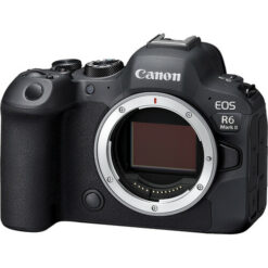 Canon EOS R6 Mark II + RF 24-105mm f4-7.1 IS STM - Image 4