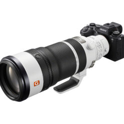 Sony FE 100-400mm F4.5 GM OSS | Full-Frame Telephoto Lens - Image 2